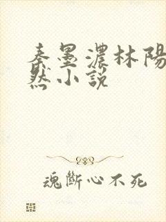 秦墨浓林阳秦嫣然小说