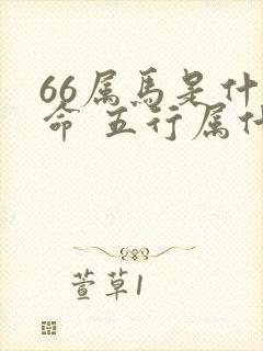 66属马是什么命 五行属什么