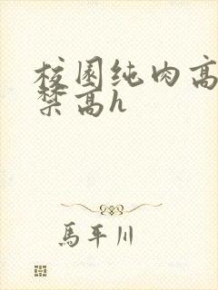校园纯肉高潮失禁高h