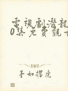 电视剧潜龙道40集免费观看