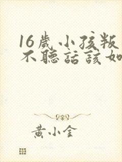 16岁小孩叛逆不听话该如何管教