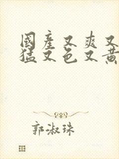 国产又爽又粗又猛又色又黄高清