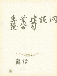 专业建设网站开发公司