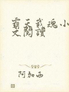 霸天武魂小说全文阅读