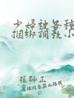 少妇被各种姿势捆绑调教小说