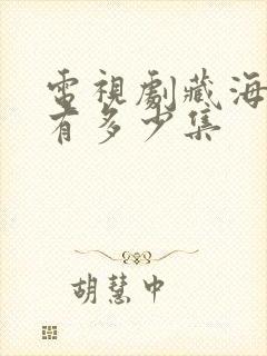 电视剧藏海传共有多少集
