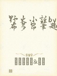 野火小说by夏布多昂笔趣阁