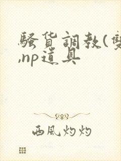 骚货调教(双性,np道具