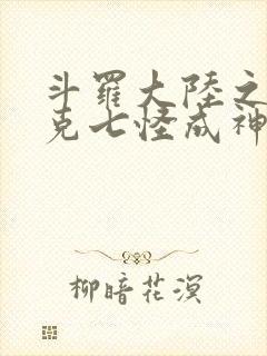 斗罗大陆之史莱克七怪成神之路小说