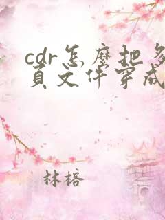 cdr怎么把多页文件穿成pdf