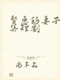 贤惠的妻子29集短剧