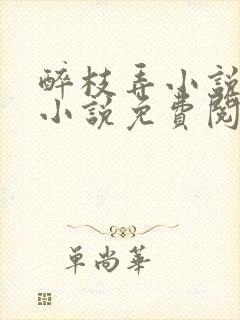 醉枝弄小说原著小说免费阅读