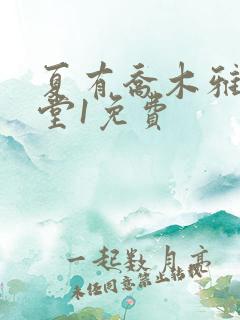 夏有乔木雅望天堂1免费