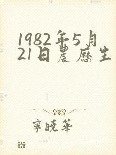 1982年5月21日农历生辰八字