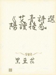 《艾青诗选》太阳读后感