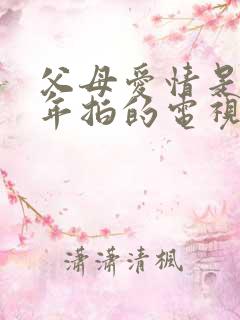 父母爱情是哪一年拍的电视剧