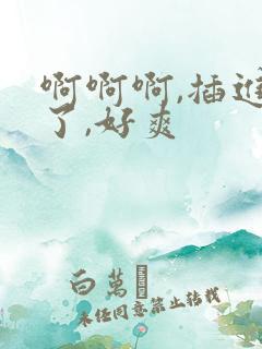 啊啊啊,插进去了,好爽