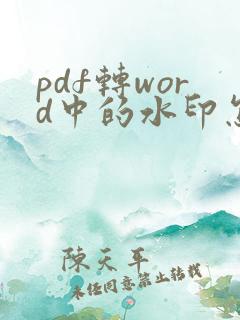 pdf转word中的水印怎么去除