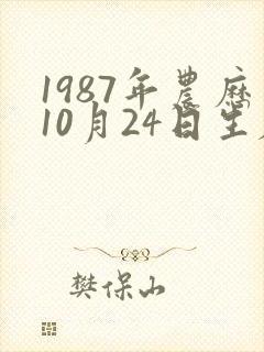 1987年农历10月24日生辰八字