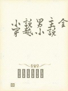 小说男主金峰的穿越小说