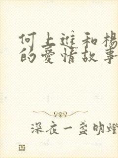 何上进和杨晓婷的爱情故事