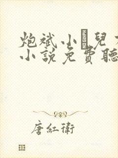 炮斌小苮儿有声小说免费听书