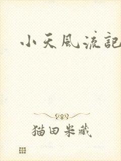 小天风流记史