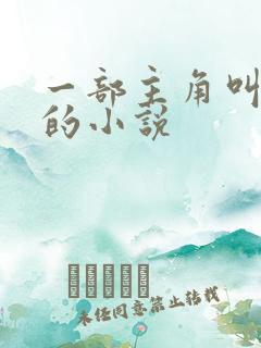 一部主角叫陈浩的小说