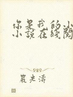 你是我的小确幸小说在线阅读