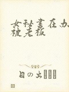女秘书在办公室被老板