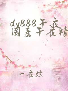 dy888午夜国产午夜精品