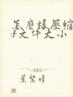 怎么样压缩pdf文件大小