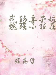 我的妻子婉清和魏强小说在线阅读