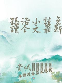 孙浩小说免费阅读全文最新章节