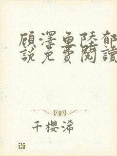 顾泽鱼陆郁年小说免费阅读