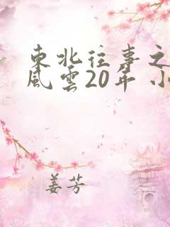 东北往事之黑道风云20年 小说下载