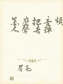 怎么把音频中的人声去掉
