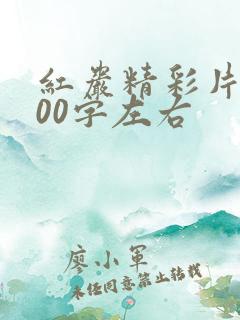 红岩精彩片段100字左右