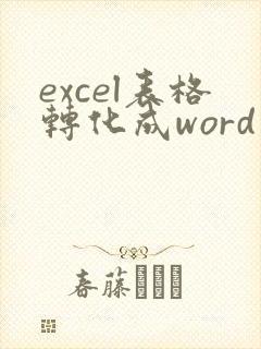 excel表格转化成word文档