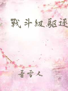 战斗级驱逐舰