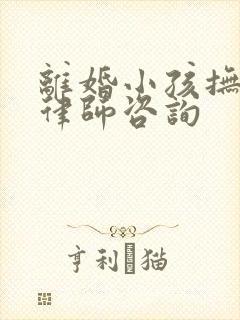 离婚小孩抚养权律师咨询
