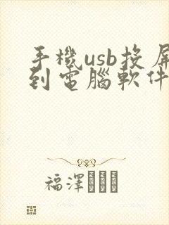 手机usb投屏到电脑软件