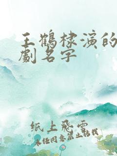 王鹤棣演的电视剧名字