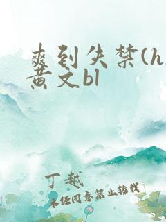 爽到失禁(h)黄文bl