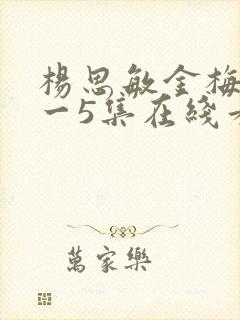 杨思敏金梅瓶1一5集在线看