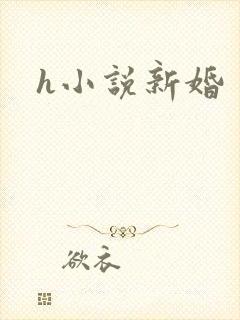 h小说新婚
