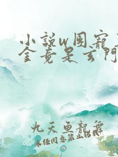 小说w团宠真千金竟是玄门大佬》