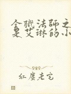 全职法师之女主是艾琳的小说