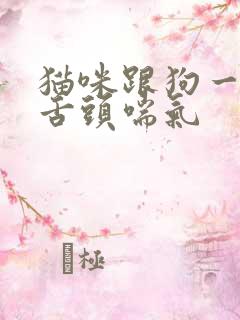 猫咪跟狗一样吐舌头喘气