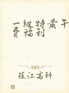 一级特黄午夜免费福利